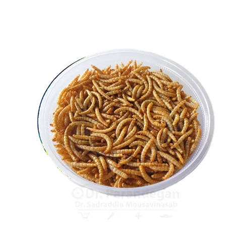 میلورم خشک پرندگان وودو 50 گرم